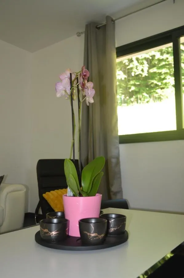 Holiday home Chic Vanilla Home, Maison Moderne Entre Annecy Et Geneve